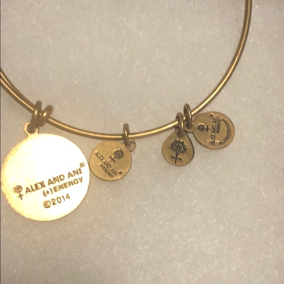 ALEX AND ANI (+) ENERGY BRACELET - Picture 3 of 4